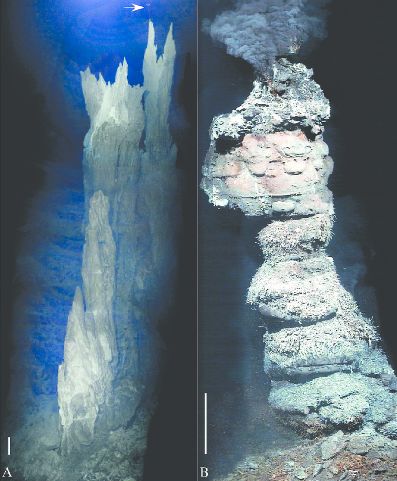 Comparison of an active alkaline hydrothermal vent at Lost City (a) with a black smoker (b)