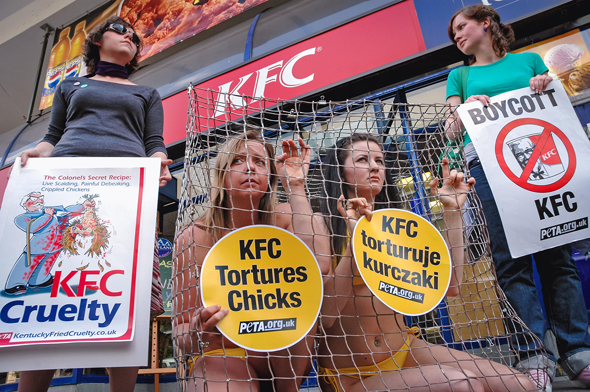 What PETA Has Cost the Animal Rights Movement