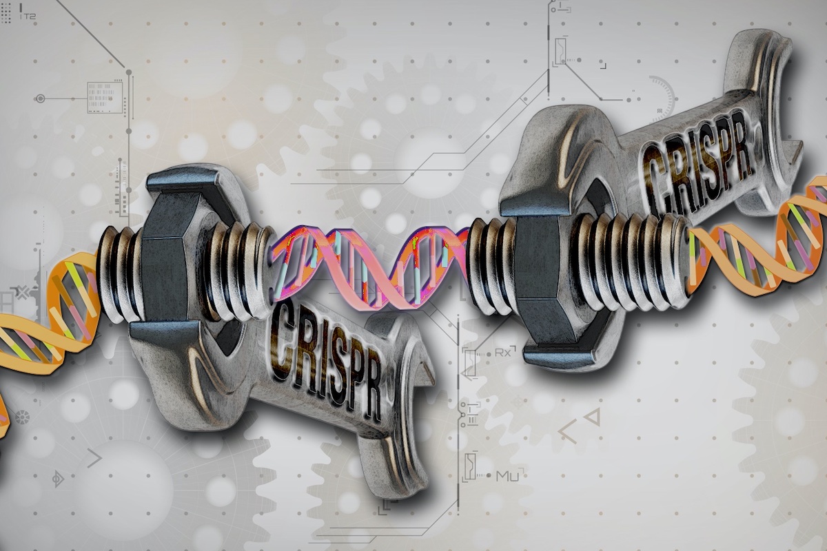 How CRISPR-Enabled Gene Editing Could Change Our World: A Huntington's Disease Case Study