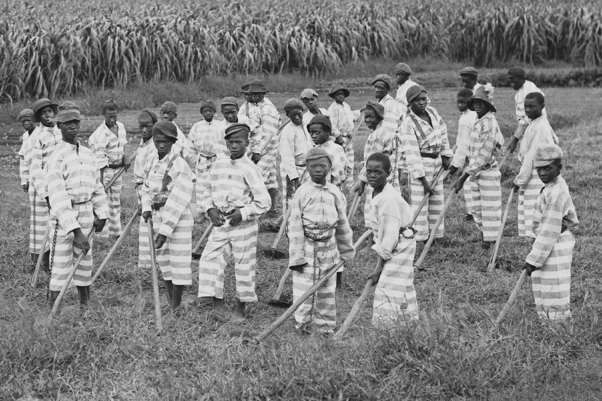 Juvenile convicts at work in the fields in Southern chain gang. Circa. 1903